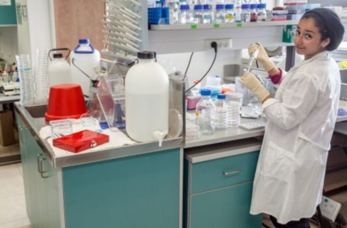 Improving Skill, Performance, and Quality of Staff in Diagnostic Centers